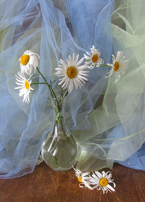 Ромашки ноября... - Галина Кузьмина Ромашки ноября... - Галина Кузьмина