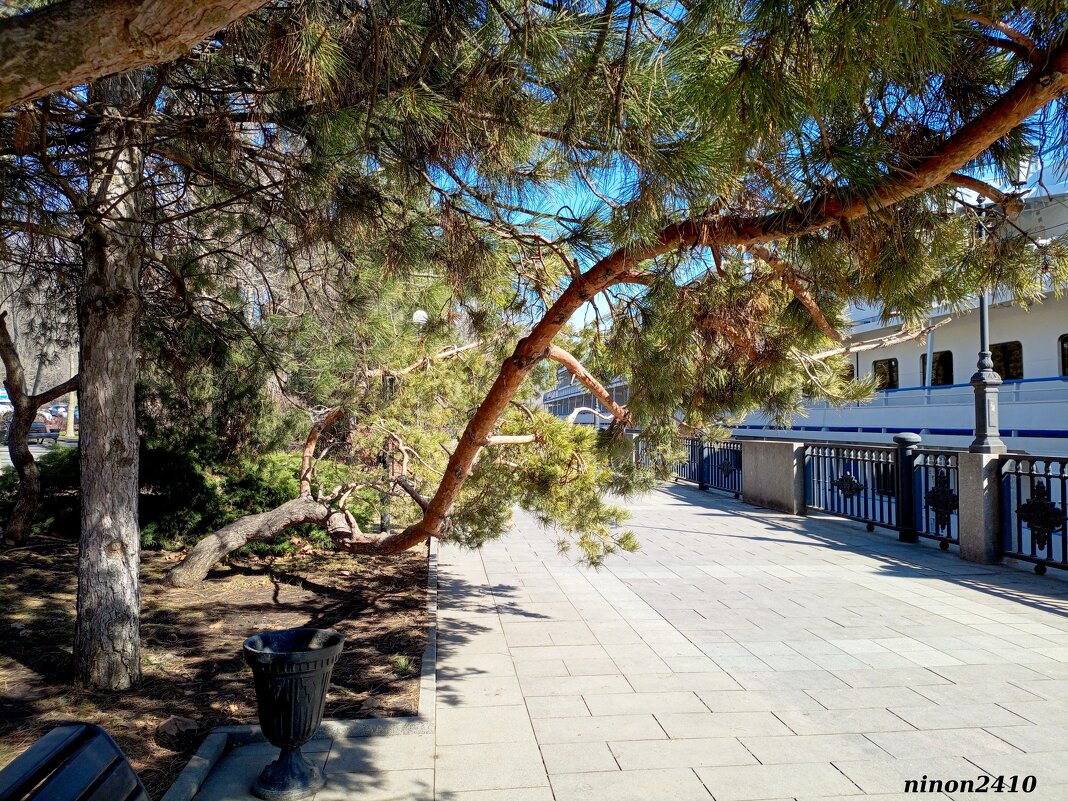 Ростов-на-Дону... на набережной... - Нина Бутко Ростов-на-Дону... на набережной... - Нина Бутко