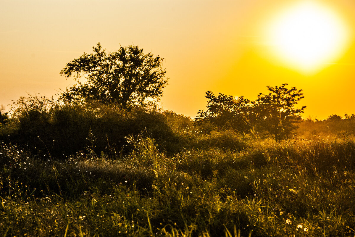 Закат у кладбища - Коля Лукашов