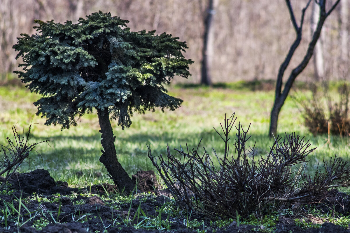 Весенняя минималистичная хрень - Коля Лукашов Весенняя минималистичная хрень - Коля Лукашов