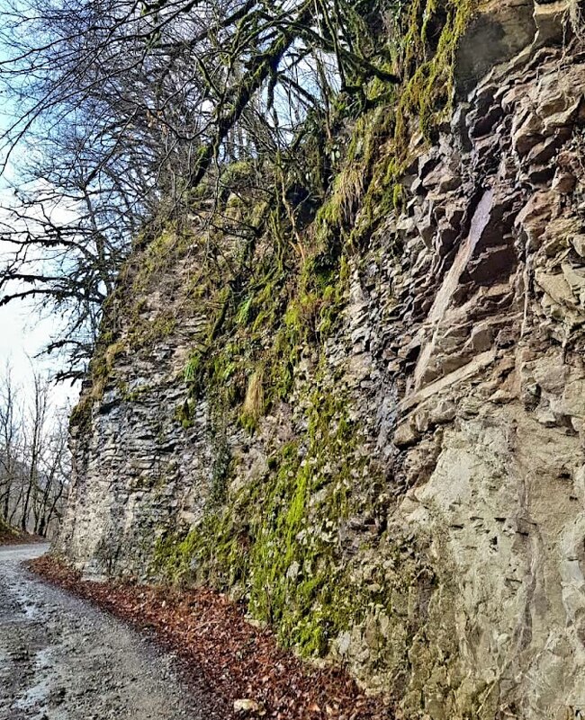 Солох-Аул Сочи - Tata Wolf