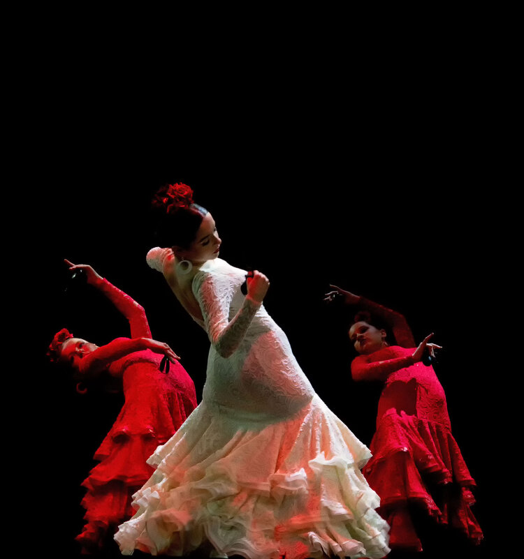 Фрагмент концерта - Vlaimir 