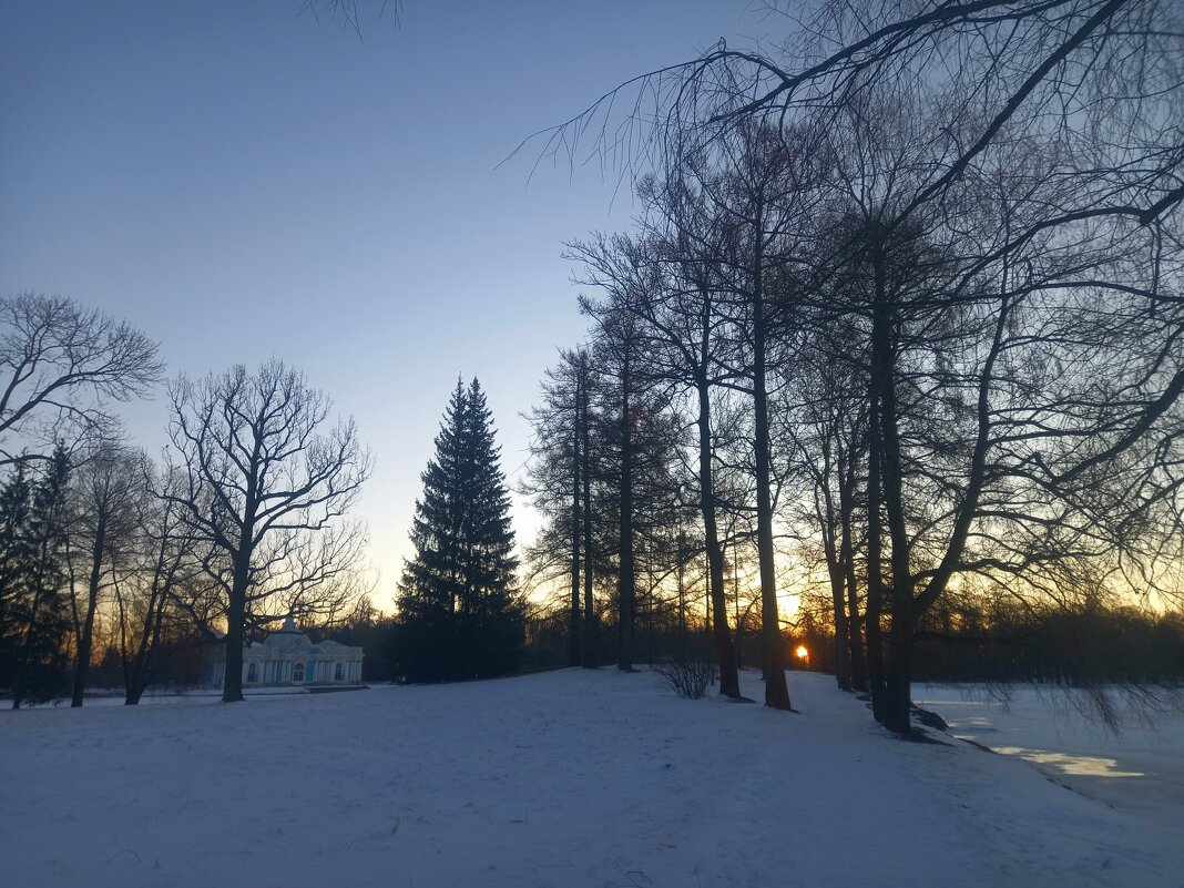 Рассвет - Сапсан 