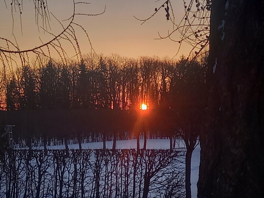 Рассвет - Сапсан 