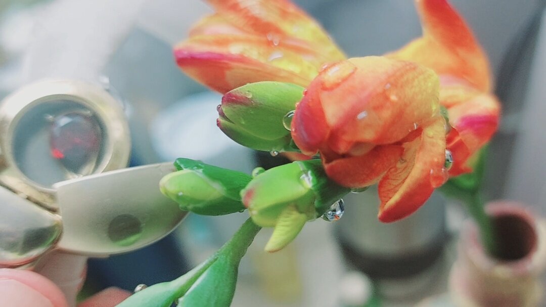 110 (51) - СТРЕН 