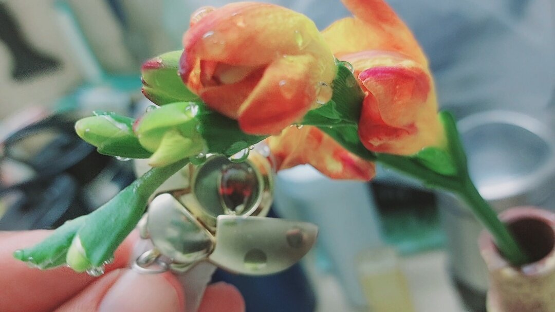 110 (55) - СТРЕН 