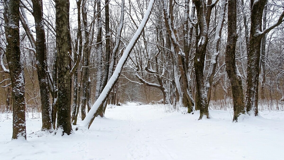 Город после ночного снегопада. - Милешкин Владимир Алексеевич Город после ночного снегопада. - Милешкин Владимир Алексеевич