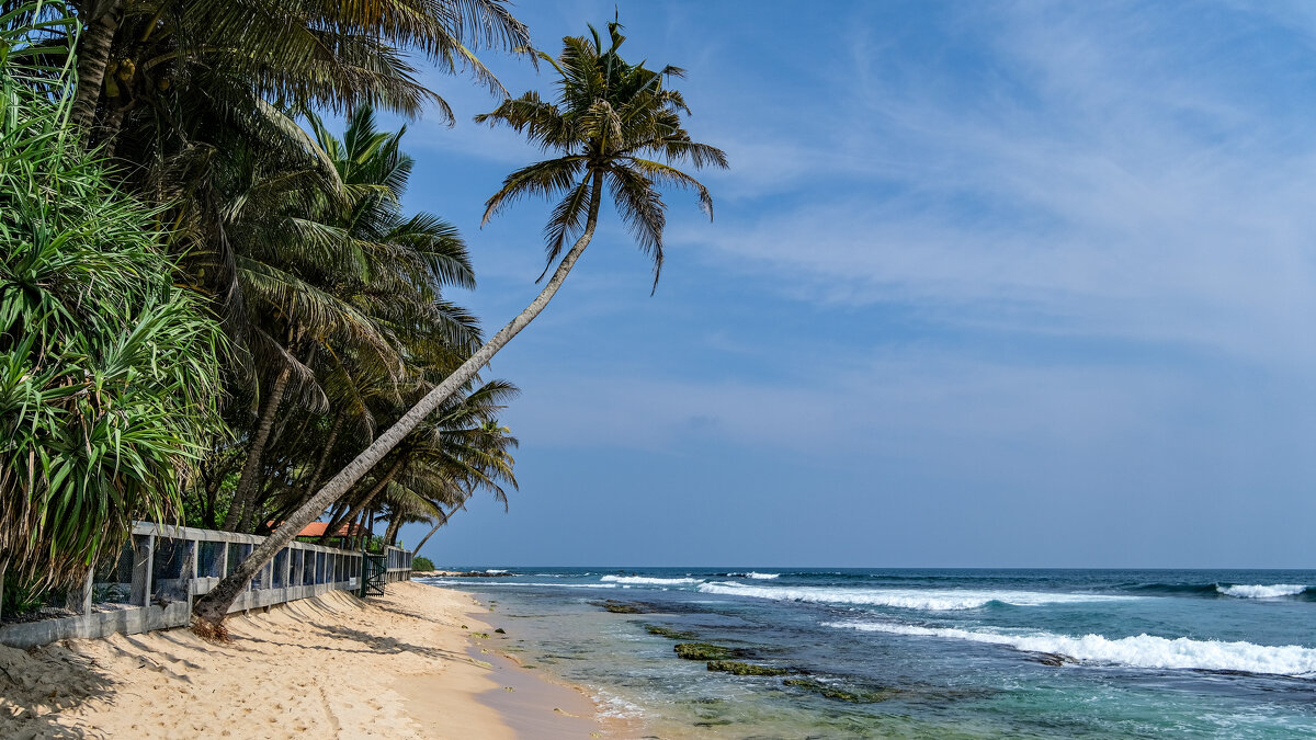 Берег океана - Dmitry i Mary S Берег океана - Dmitry i Mary S