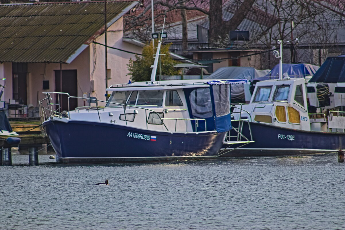 В море синем, как в аптеке - Giant Tao / В море синем, как в аптеке - Giant Tao /