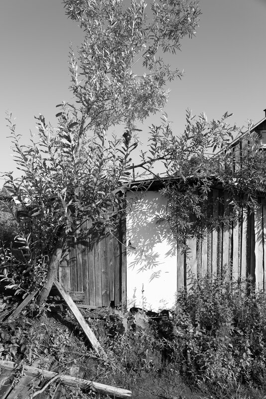 Название отсутствует - Денис Безногов