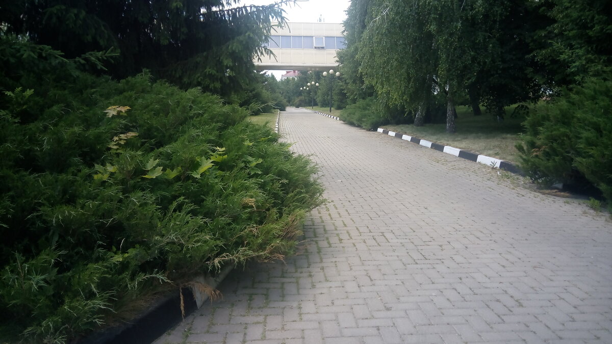 ,,,, - Сергей Тимоновский