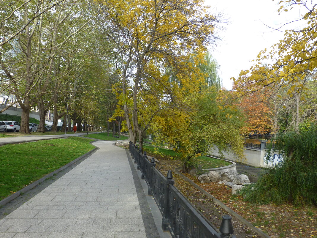 Осень золотая,Октябрь 2024 ггод - Валентин Семчишин