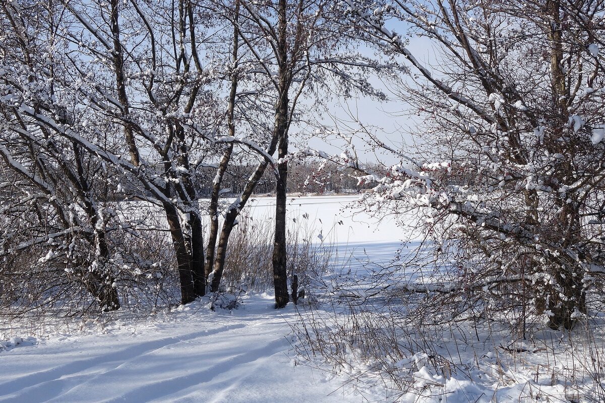 Зимушка-зима - Рита Симонова