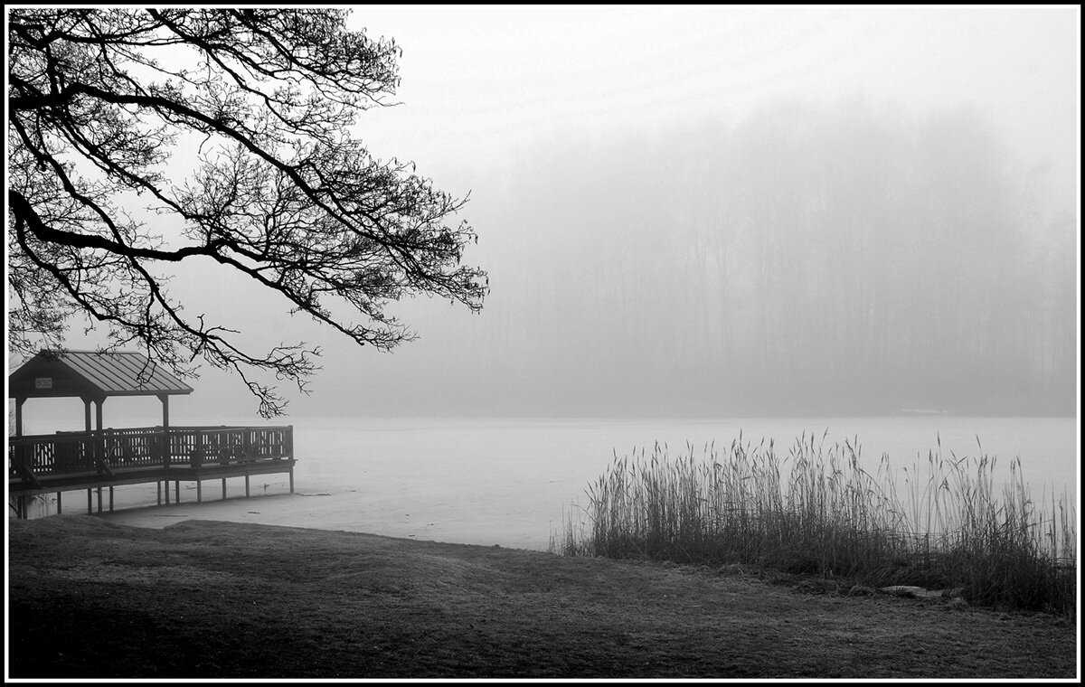 *** - Aleksandr Gal *** - Aleksandr Gal