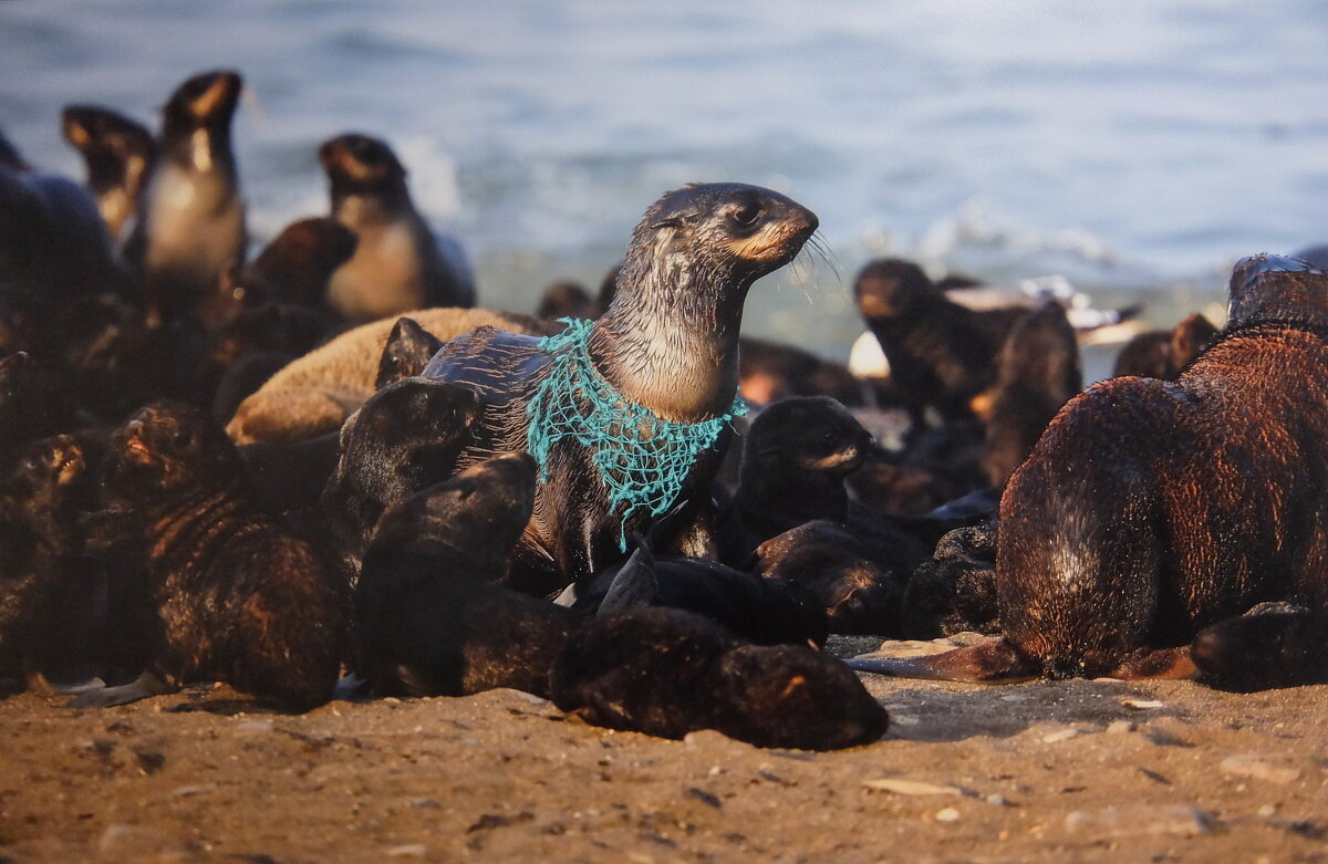 "Спасибо" людям. (фотограф Юрий Смитюк) - Люба "Спасибо" людям. (фотограф Юрий Смитюк) - Люба