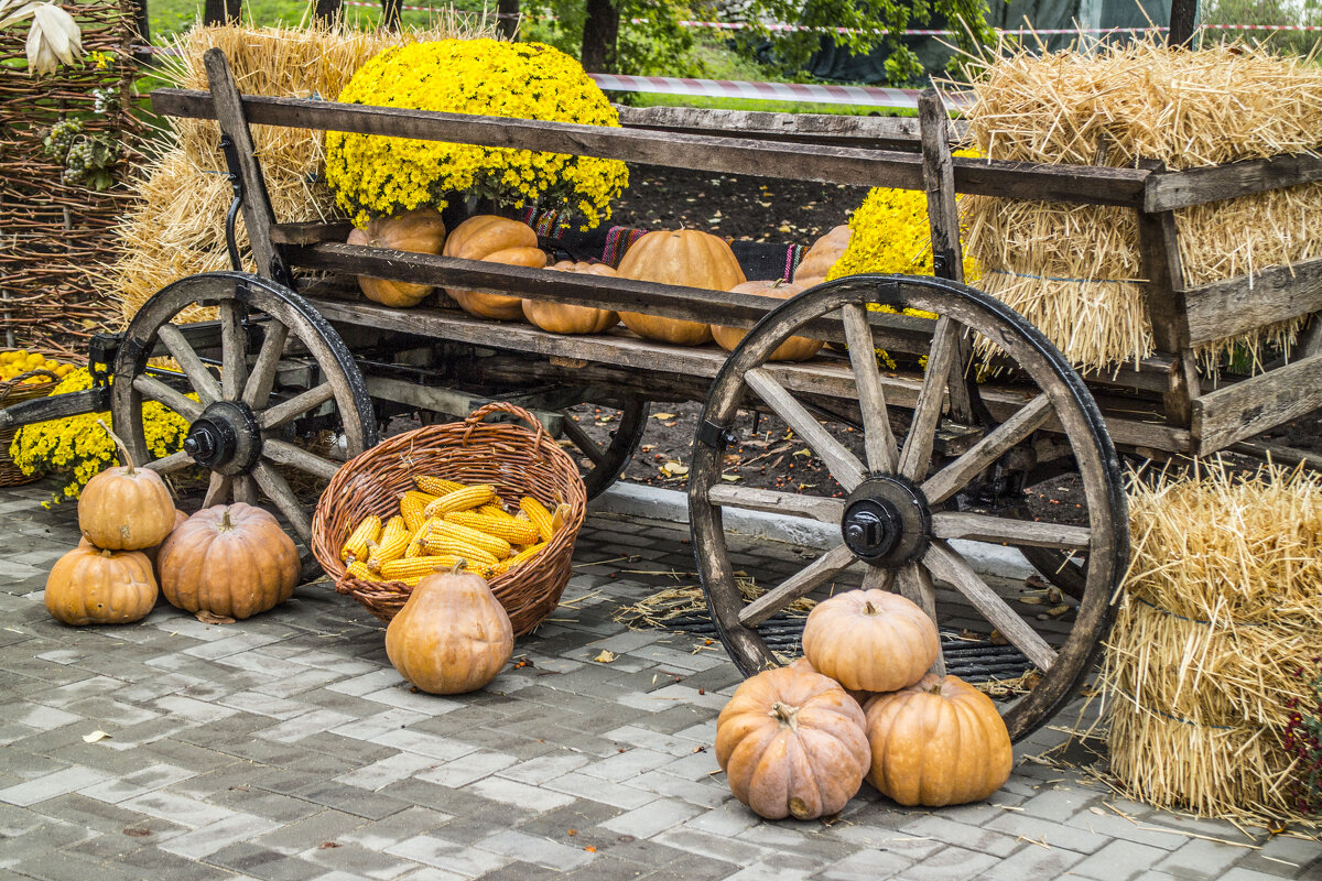 Натюрморт с телегой, тыквами, цветами и тюками соломы - Коля Лукашов