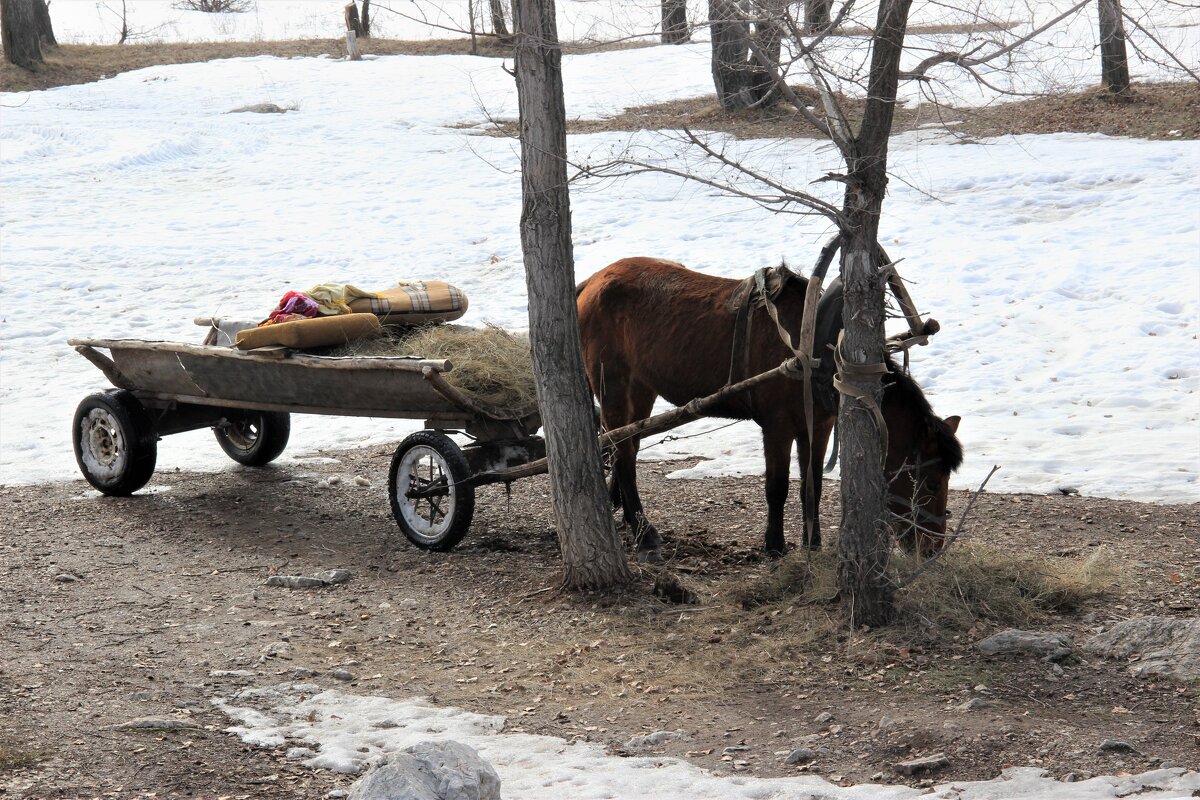 Весна за городом. - Венера Чуйкова Весна за городом. - Венера Чуйкова