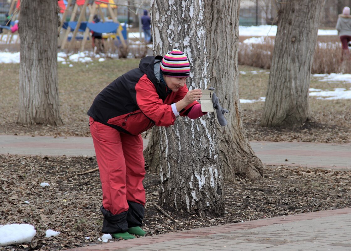 Весна. - Венера Чуйкова Весна. - Венера Чуйкова