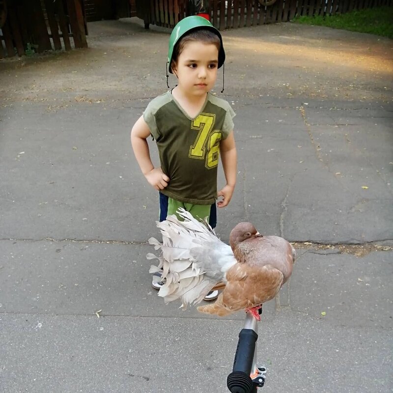 В парке - Alexandra Sakharova