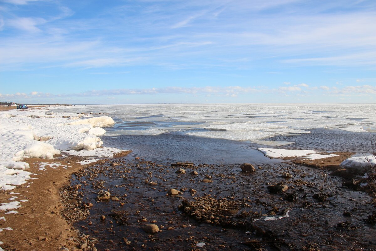Зеленогорск. Март - Наталья Герасимова Зеленогорск. Март - Наталья Герасимова