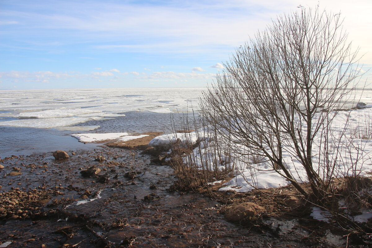 Зеленогорск. Март - Наталья Герасимова Зеленогорск. Март - Наталья Герасимова