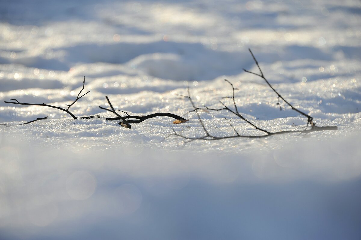 ... на снегу... - Руслан 