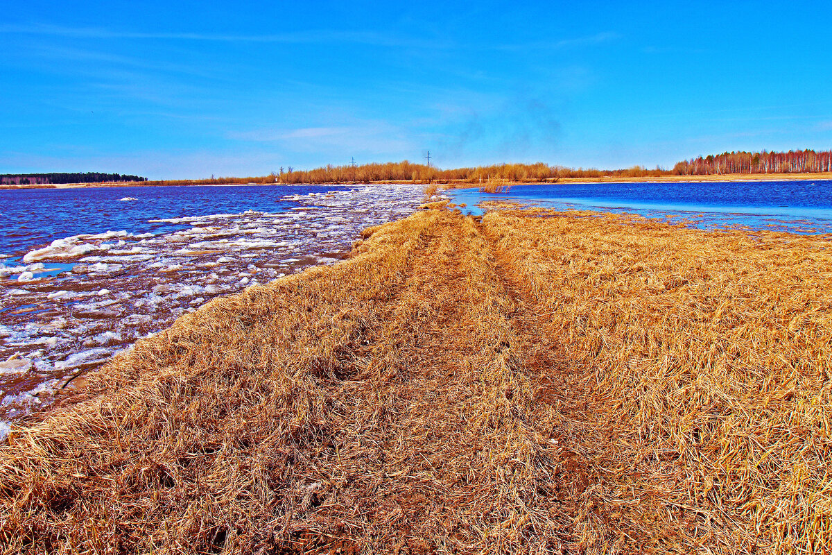 Дальше тропы нет!... - Владимир Дальше тропы нет!... - Владимир