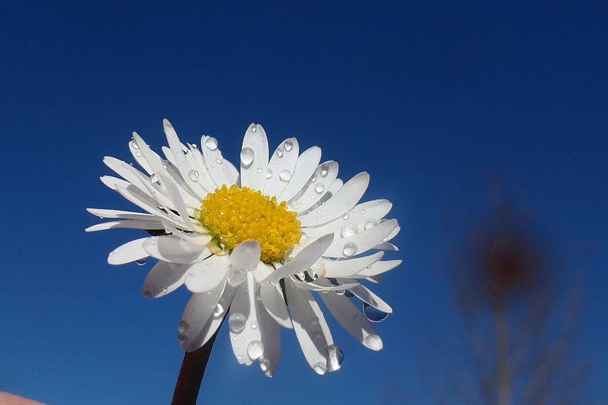 --------------------- - igor G. --------------------- - igor G.