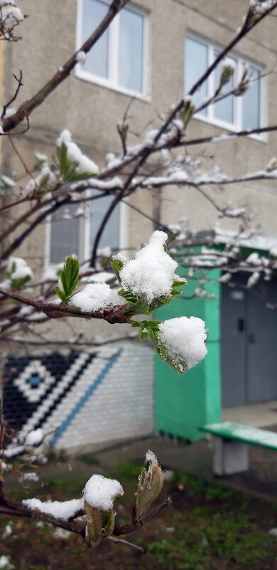 Весна - Ольга Весна - Ольга