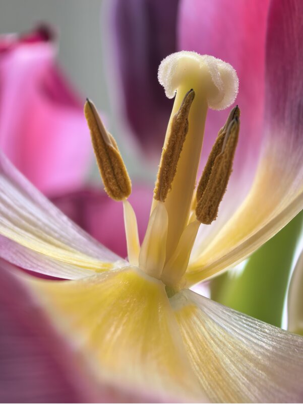 март - александр март - александр