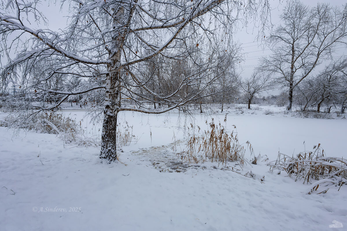 Зимняя природа - Александр Синдерёв