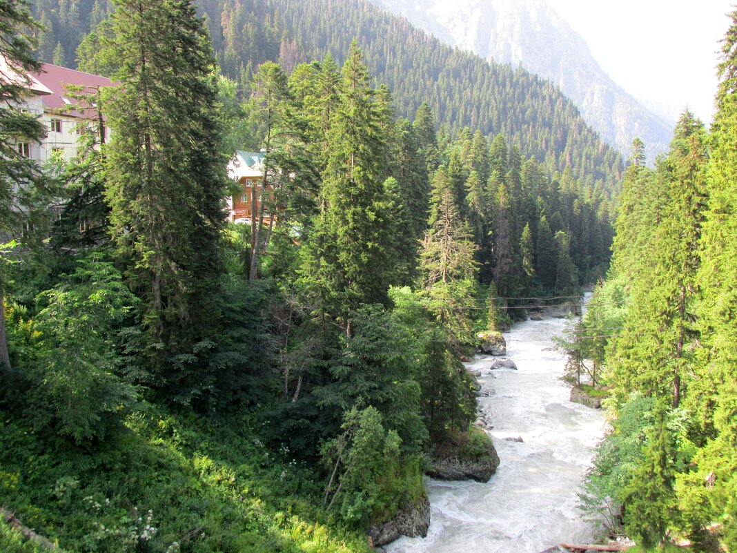 Д - Андрей Л. В.