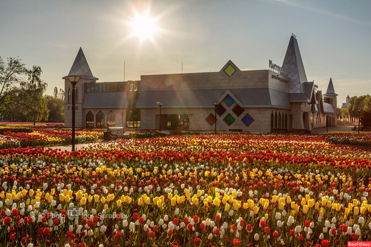 Детский город мастеров Мастерславль. - Игорь Сарапулов Детский город мастеров Мастерславль. - Игорь Сарапулов