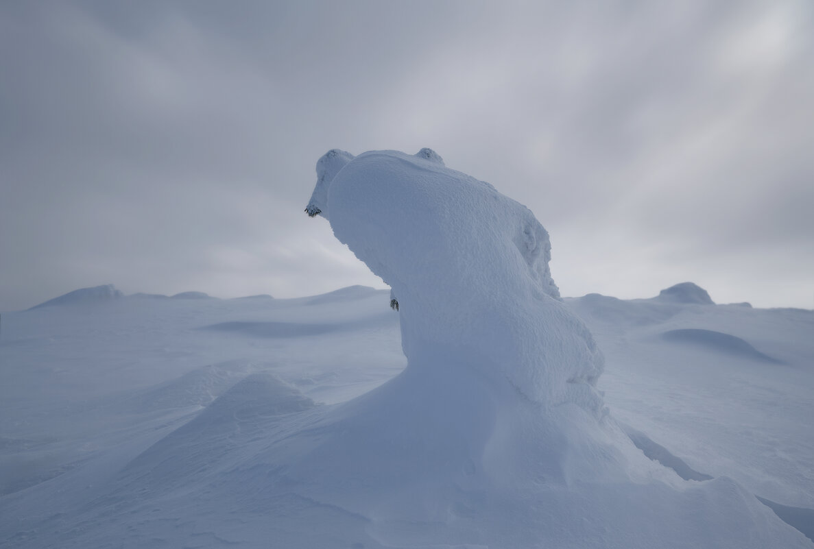 * - Александр Иванов