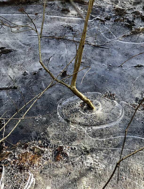 Последние зимние оковы. - Любовь Последние зимние оковы. - Любовь