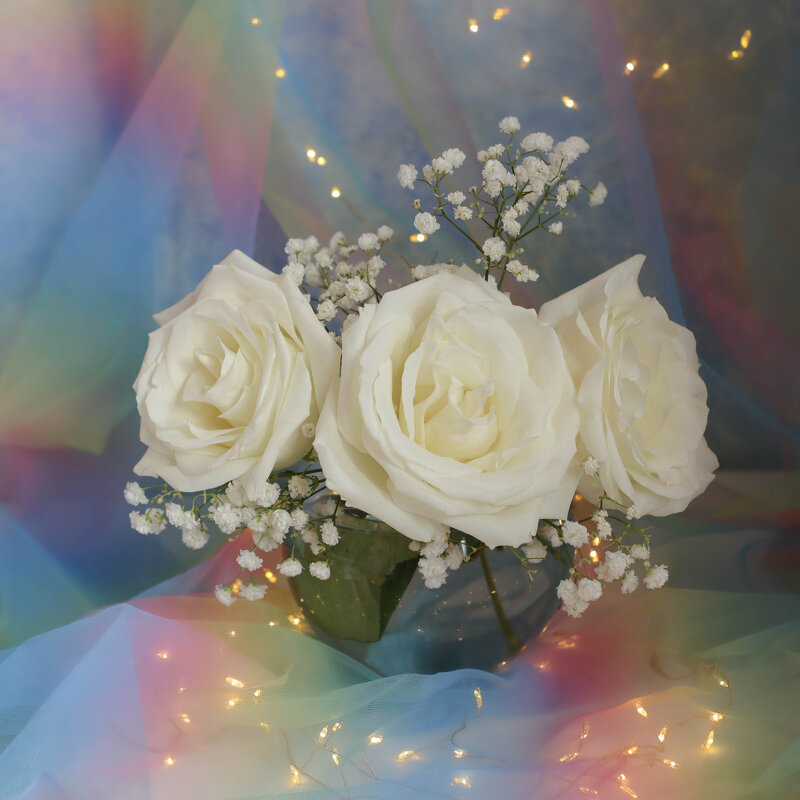 Белые розы - Irene Irene