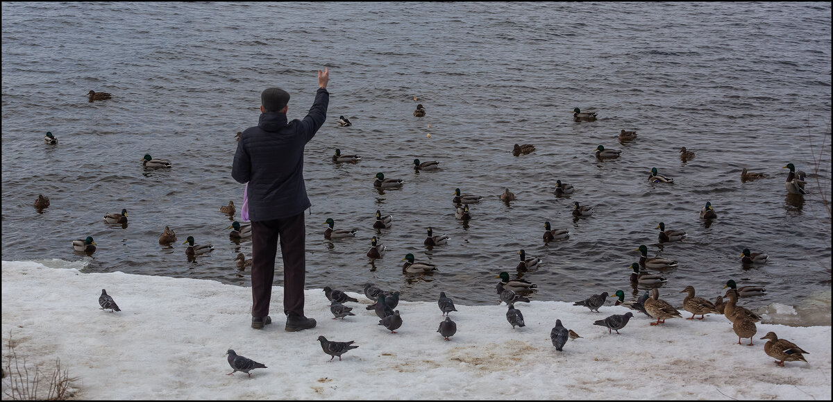 "Призываетль" - Александр Тарноградский "Призываетль" - Александр Тарноградский