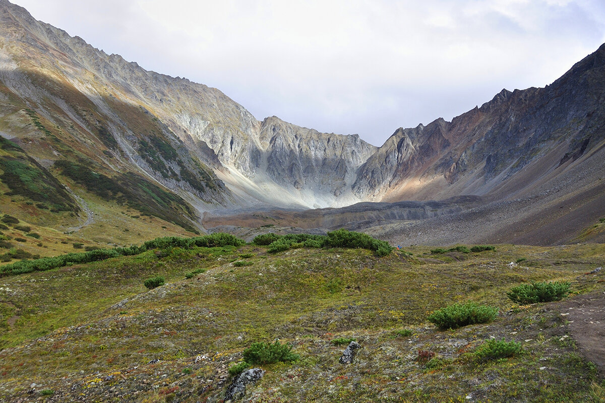 *** - Марина Виноградова