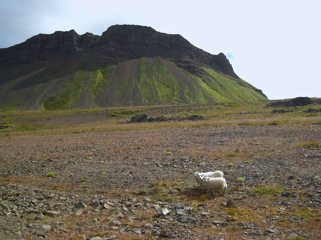 Их было трое! - unix (Илья Утропов)