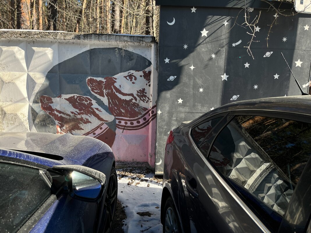 Белка и Стрелка - Сергей Золотавин Белка и Стрелка - Сергей Золотавин