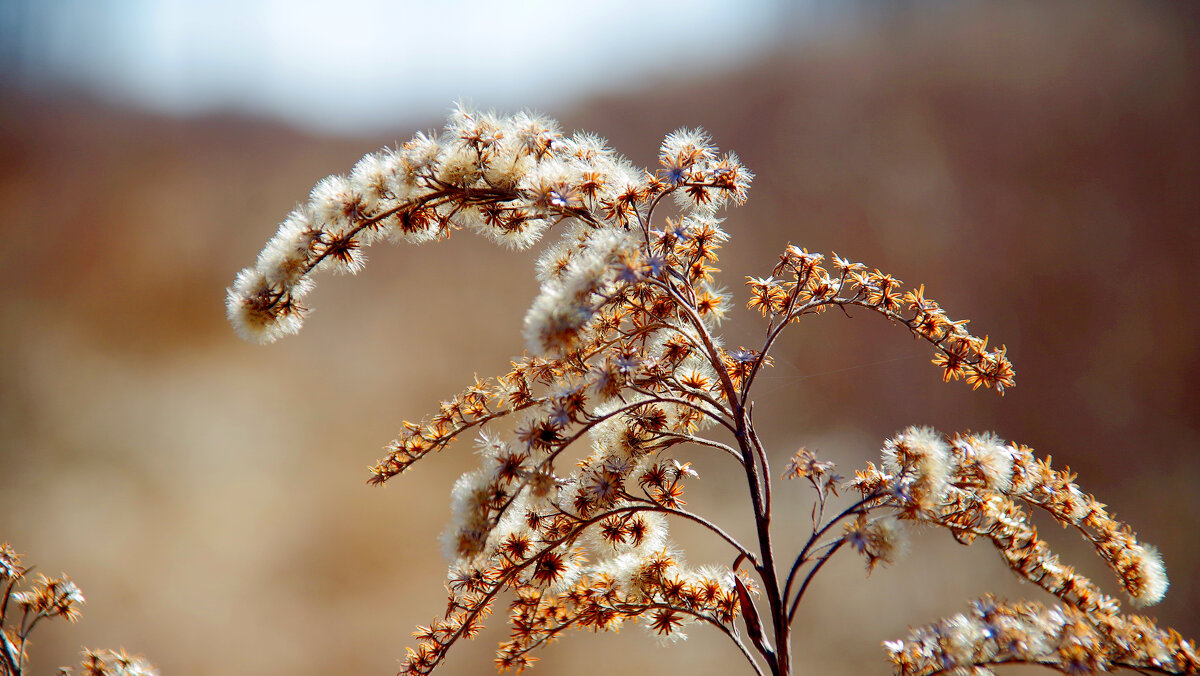 Природа 20 марта  3 - Александр Прокудин