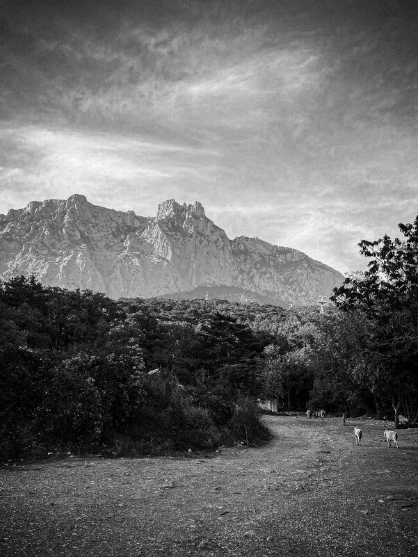 Прогулка в горах - Татьяна Аникина