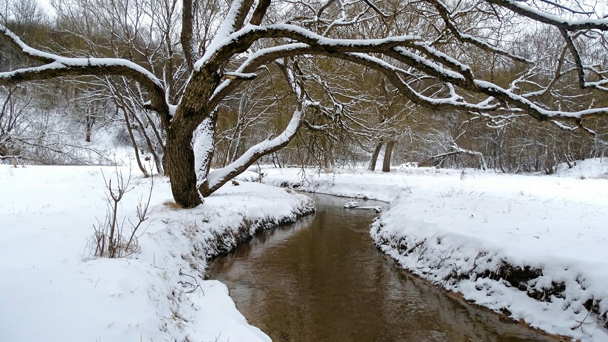 Городской парк после весеннего снегопада. - Милешкин Владимир Алексеевич Городской парк после весеннего снегопада. - Милешкин Владимир Алексеевич