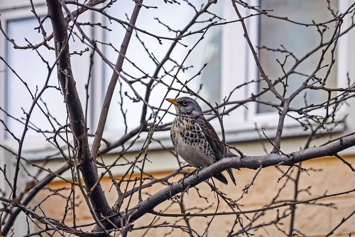 Мартовский - Валерий Иванович