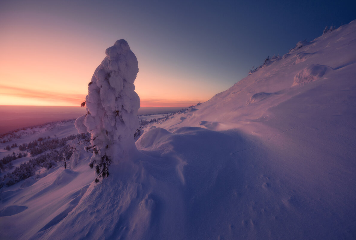 * - Александр Иванов * - Александр Иванов