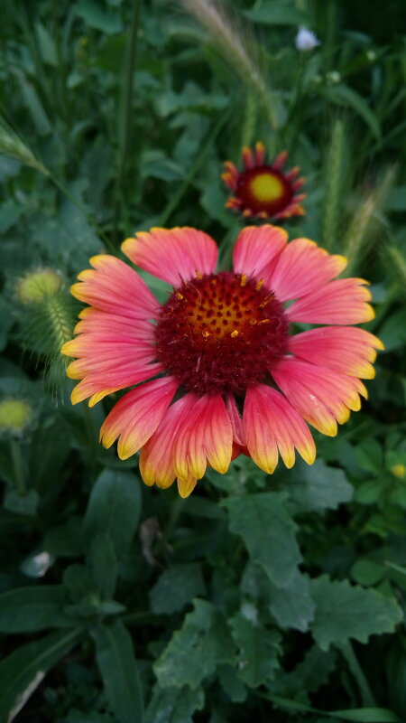 ,,, - Сергей Тимоновский