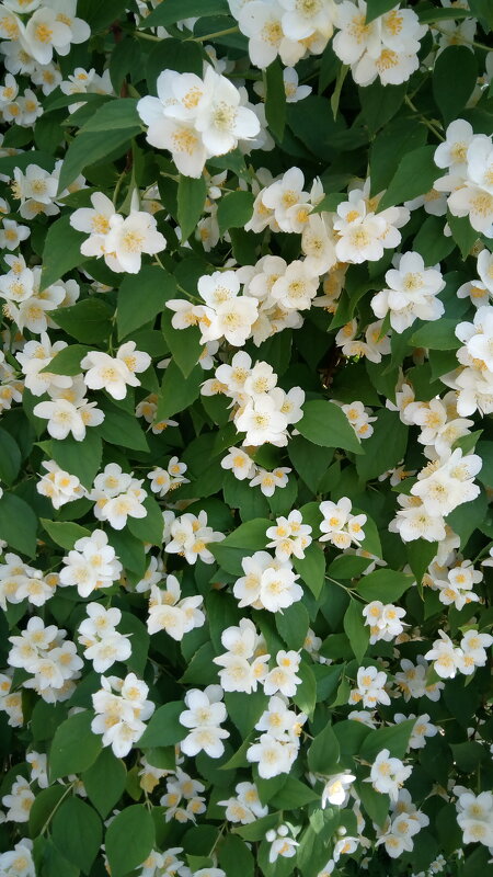 ,,, - Сергей Тимоновский ,,, - Сергей Тимоновский