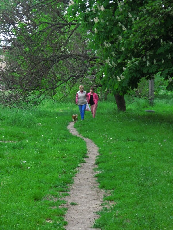 . - Александр Хоменко