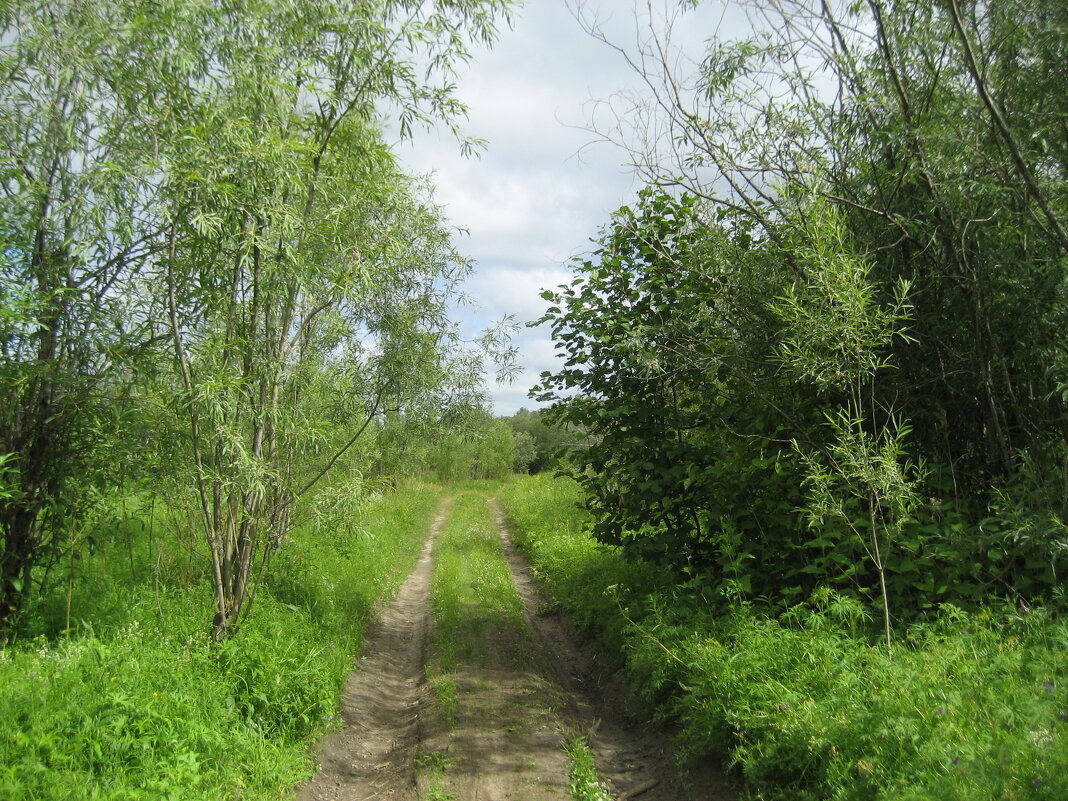 Лето - Anna Ivanova