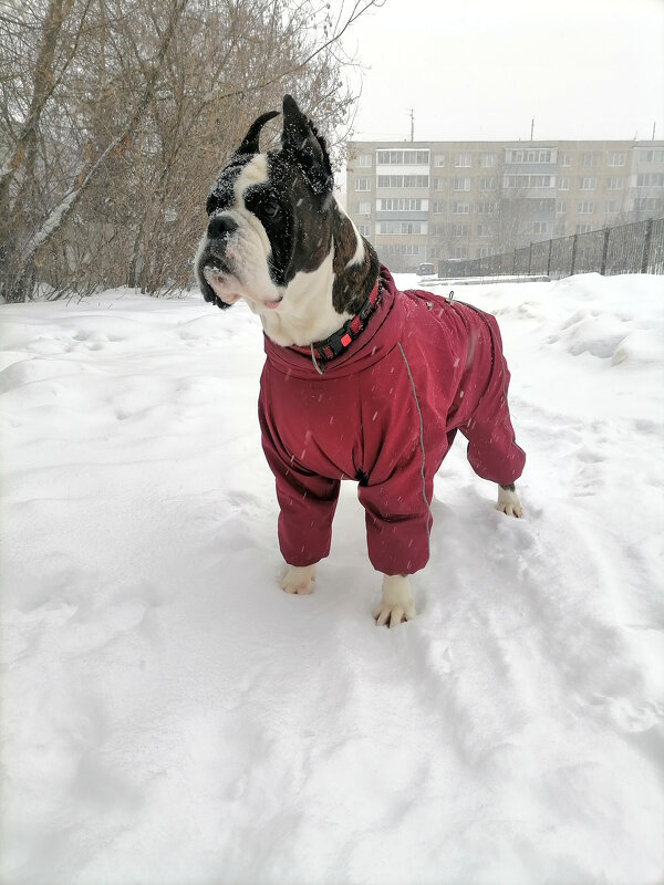 Айна - Ольга Барташевич